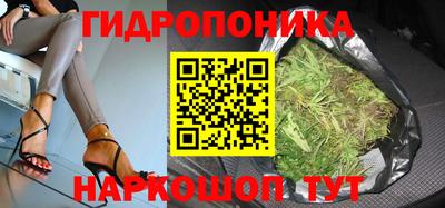 индика Жуковский