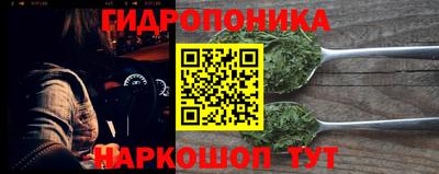 индика Жуковский