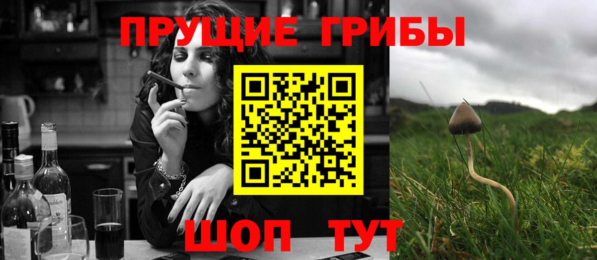 Моздок  Галлюциногенные грибы Psilocybine cubensis  Вход с VPN 